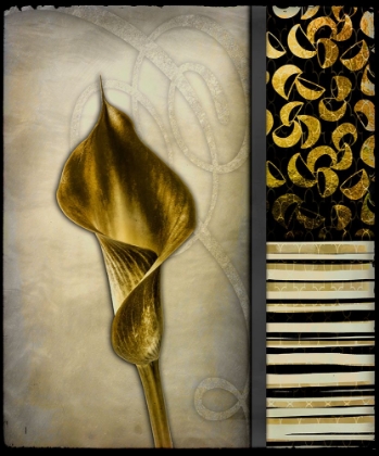 Picture of GOLD LILY 2
