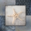 Picture of BLUE STAR FISH 3