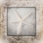 Picture of STONE STAR 3