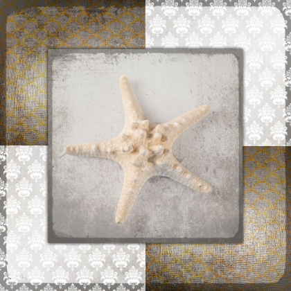Picture of VINTAGE NATUICAL STAR 2