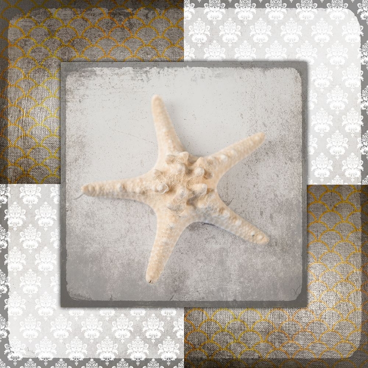 Picture of VINTAGE NATUICAL STAR 2