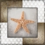 Picture of VINTAGE NATUICAL STAR
