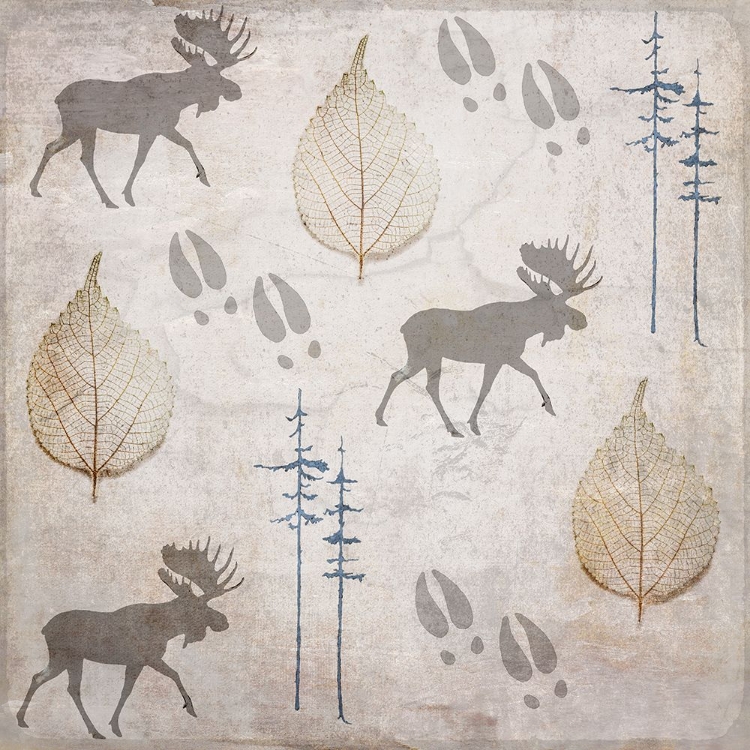 Picture of MOOSE LODGE PATTERN