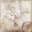 Picture of SEA LEAF 3