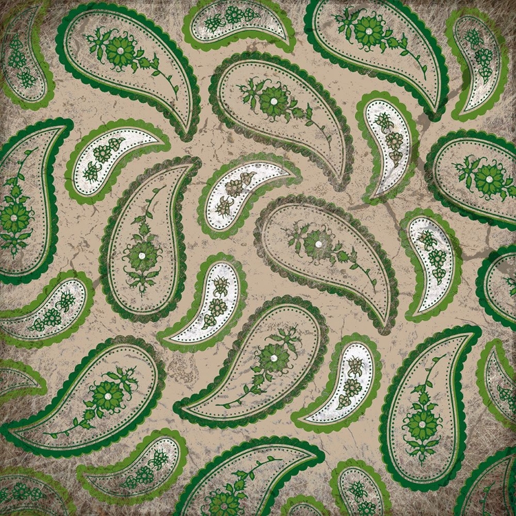Picture of CAMO PAISLEY GRUNGE
