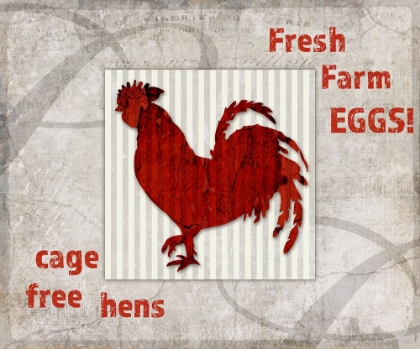 Picture of DECORTIVE PATTERN FARM FRESH CHICKEN