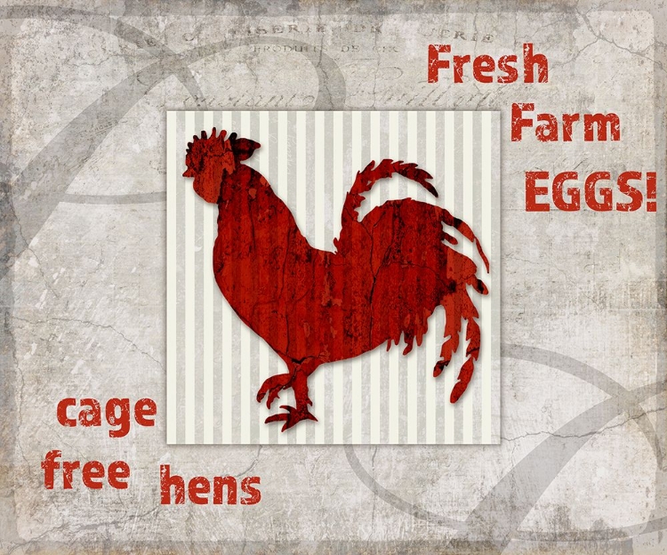 Picture of DECORTIVE PATTERN FARM FRESH CHICKEN