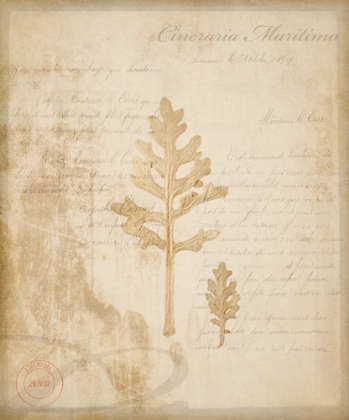 Picture of SCIENTIFIC PLANT 4