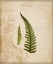Picture of SCIENTIFIC PLANT 5