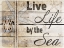 Picture of COUNTRY SEA SIGN 3
