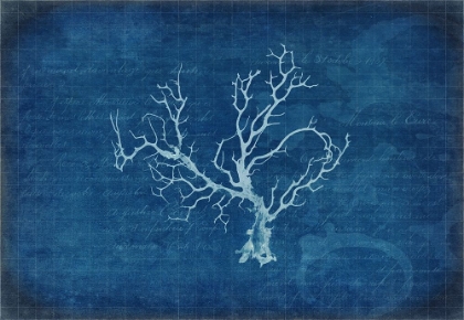 Picture of GYPSY BLUE CYANOTYPE V1
