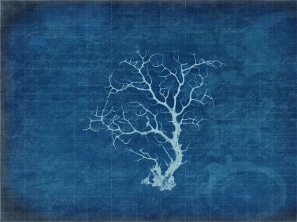 Picture of GYPSY BLUE CYANOTYPE V2