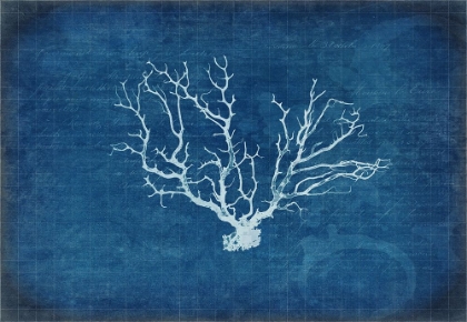 Picture of GYPSY BLUE CYANOTYPE V3