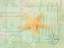 Picture of GYPSY SEA GREEN 4