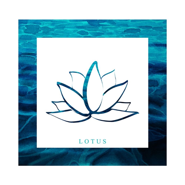 Picture of YOGA V1 LOTUS