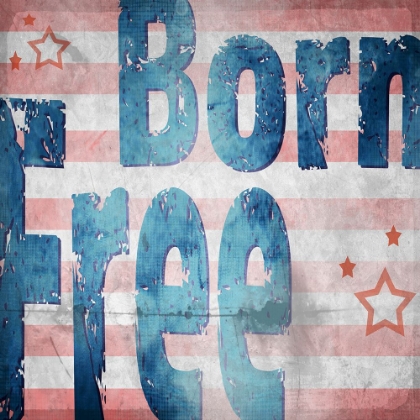 Picture of AMERICAN BORN FREE SIGN COLLECTION 1