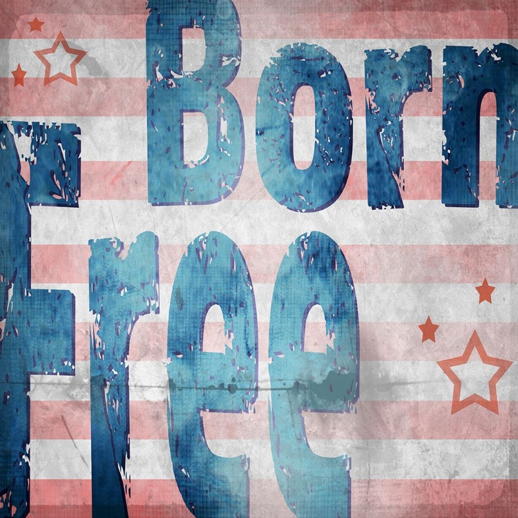 Picture of AMERICAN BORN FREE SIGN COLLECTION 1