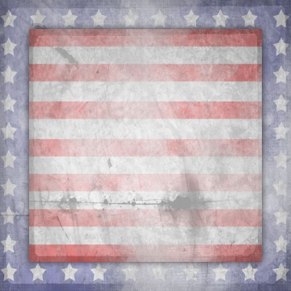Picture of AMERICAN BORN FREE SIGN COLLECTION V13