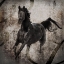 Picture of GYPSYHORSE COLLECTION V1 3