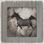 Picture of GYPSYHORSE COLLECTION V1 12