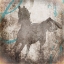 Picture of GYPSYHORSE COLLECTION V2 2