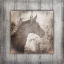 Picture of GYPSYHORSE COLLECTION V2 9