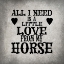 Picture of GYPSYHORSE COLLECTIONSURFACEPATTERN V4 1