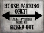 Picture of GYPSYHORSE COLLECTIONSURFACEPATTERN V4 10