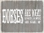 Picture of GYPSYHORSE COLLECTIONSURFACEPATTERN V4 17