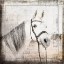 Picture of MYFARMMYWAY V6 6