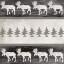 Picture of GOOD NIGHT MOOSE SURFACE PATTERN 5