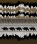 Picture of RUSTIC LODGE COLLECTION V2 2