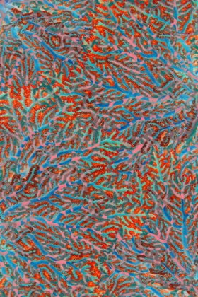 Picture of SEA CREATURES_SURFACE PATTERN 2
