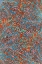 Picture of SEA CREATURES_SURFACE PATTERN 2