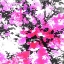 Picture of BRIGHT SCARF 3