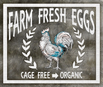 Picture of FARM SIGN_EGGS
