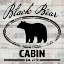 Picture of BLUE BEAR LODGE SIGN 08