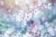 Picture of CHERRY BLU 06