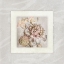 Picture of PINK IVORY PORTRAIT 03