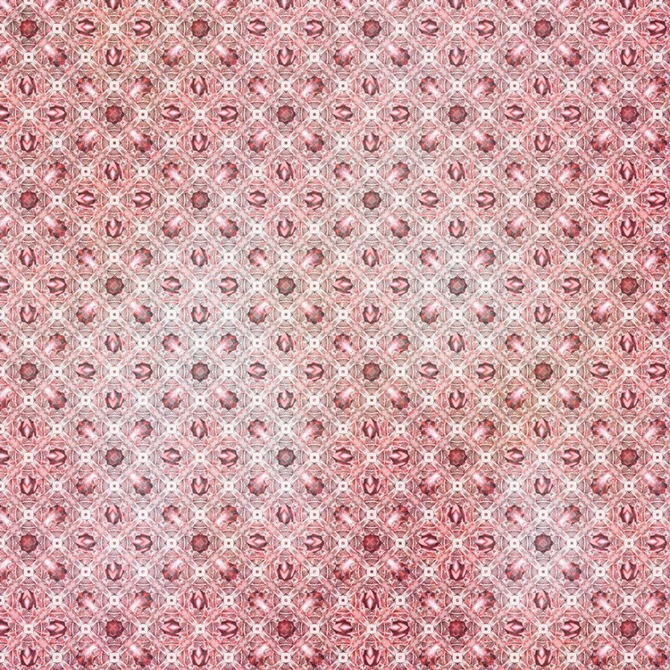 Picture of PINKY BLOSSOM PATTERN 01