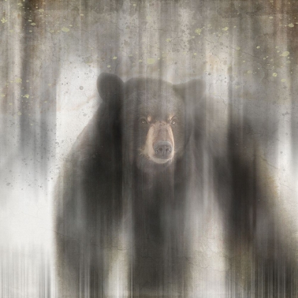 Picture of ANTIQUE WILDLIFE BEAR