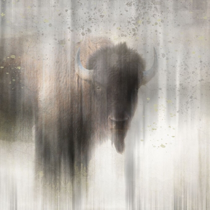 Picture of ANTIQUE WILDLIFE BUFFALO