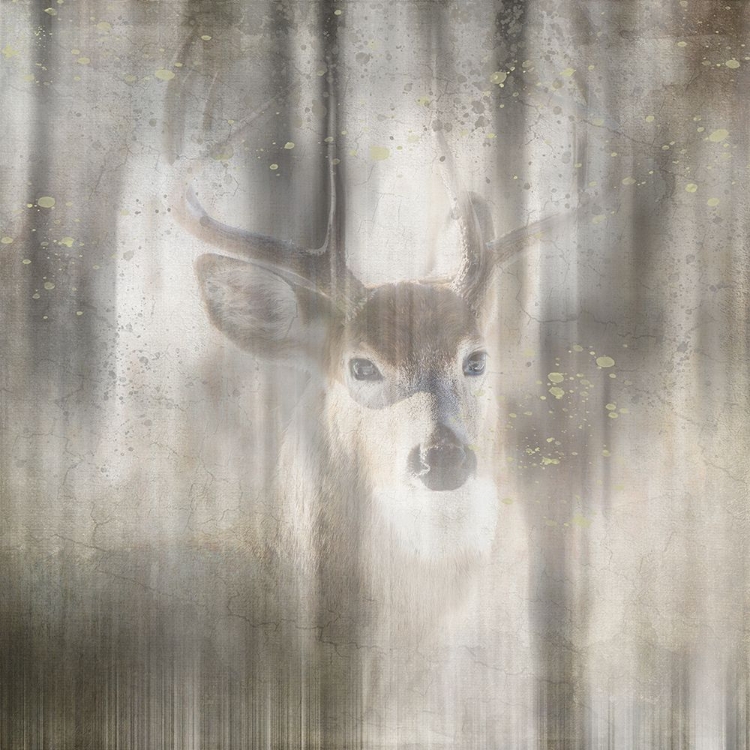 Picture of ANTIQUE WILDLIFE DEER 01