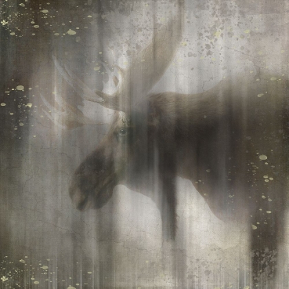Picture of ANTIQUE WILDLIFE MOOSE