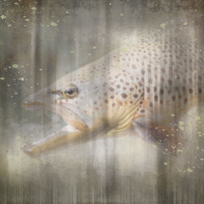 Picture of ANTIQUE WILDLIFE BROWN TROUT