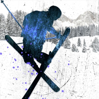 Picture of EXTREME SKIER 04