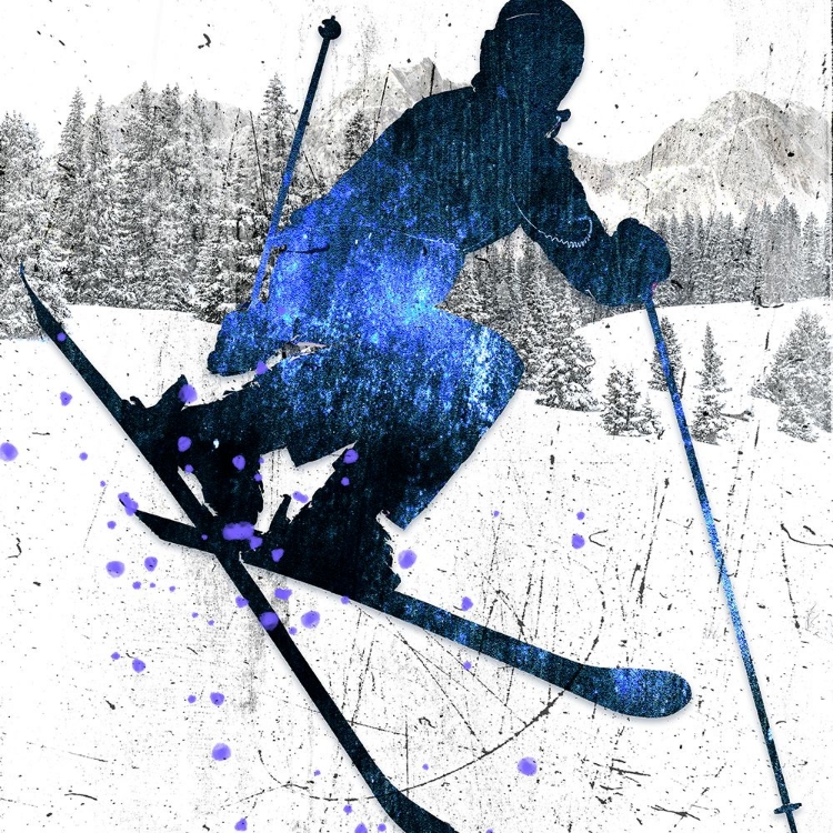 Picture of EXTREME SKIER 05