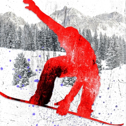 Picture of EXTREME SNOWBOARDER 04