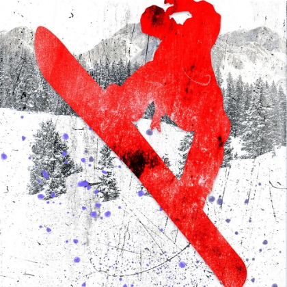 Picture of EXTREME SNOWBOARDER 05