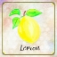 Picture of COUNTRY LEMON 01